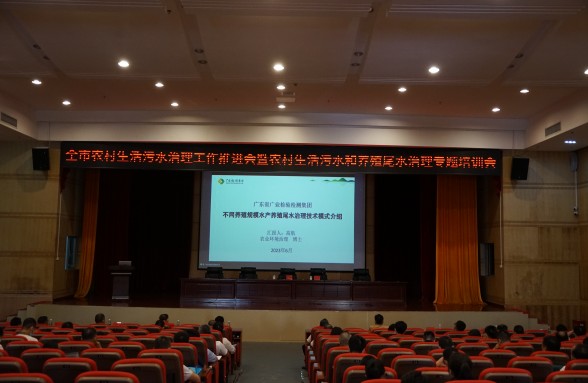 海洋牧場，生態(tài)先行，省環(huán)保基金會(huì)助力陽江建設(shè)海洋牧場